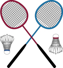 Federball / Badminton für junge Hüpfer