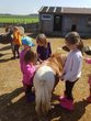 Ponyvormittag f&uuml;r Kinder ab 5 Jahren     