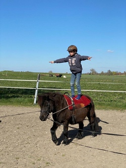 Geschicklichkeitsspiele mit Ponys