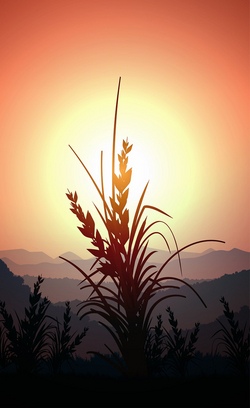 Kinderferienprogramm am Schützenhaus