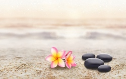 Yoga und Achtsamkeitstraining II