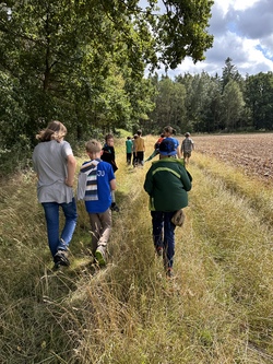 Wald erleben bei Tag und Nacht
