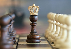 Schach - das k&ouml;nigliche Spiel
