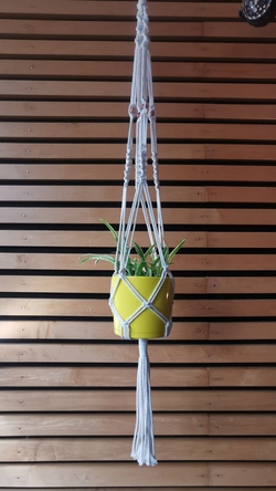 DIY Makramee-Blumenampel