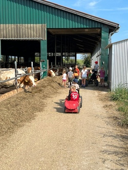 Bildergalerie Sommerprogramm 2024
