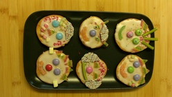 Backwerkstatt: &bdquo;Hurra, die Faschingsamerikaner sind jetzt da!&ldquo; am Sebaldhaus