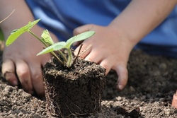 DONNERSTAG: "Ab ins Beet" - Unser Gartenprojekt