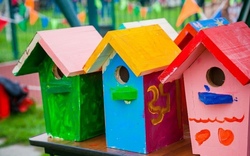 Vogelh&auml;user bauen 