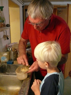 Wenn Steine sprechen k&ouml;nnten... Fossilien &ndash; Zeugen der Urzeit