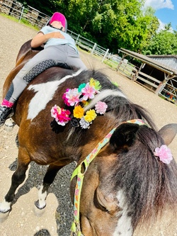 Pferdefreizeit auf der Gl&uuml;ckswiese (4-t&auml;gig)