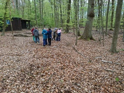 Ferienaktion &bdquo;Entdecke die Vielfalt im Wald"