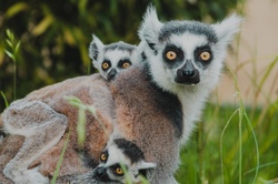 SPECIAL: Tierpark+Fossilium Bochum