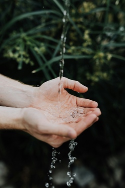 Entdecke die vier Elemente - Wasser!