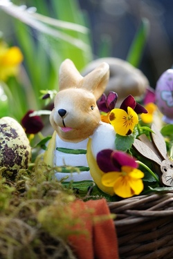 Stadt Erkelenz - Osterdeko basteln