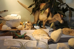 Zur&uuml;ck in der Steinzeit