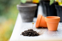 Gartentag