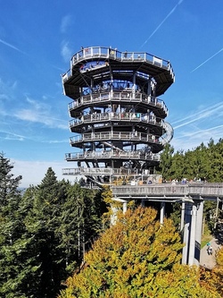 WaldWipfelWeg und Sommerrodelbahn