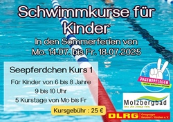 Seepferdchen-Kurs 1