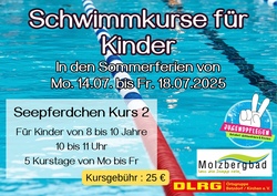 Seepferdchen-Kurs 2