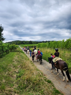 Wanderritt - Donnerstag 30.7. bis Samstag 1.8.26 Anmeldung ab 13.4.26 18:00 Uhr