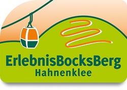 Drachenblitz Sommerrodelbahn - Erlebnis Bocksberg Hahnenklee