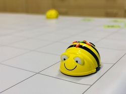 Bee Robot
