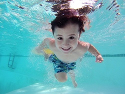 Schwimmbus Dankern