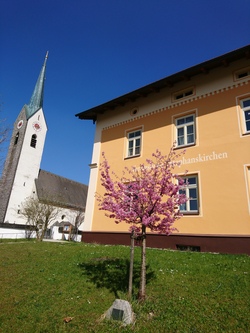 Kirchendetektive in St. Stephanus