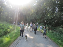 Alpakawanderung durch das Rottal, 1. Termin