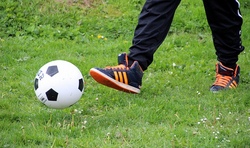 Spiel-Spaß-Sport mit Picknick
