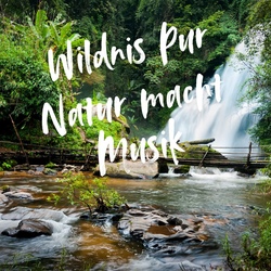 Wildnis Pur -  Waldmusik