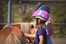 Pferdeerlebnis auf dem Ponyhof Lutz in Legau