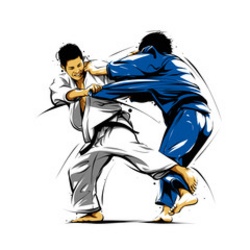 Judo auf dem Seebodenhof