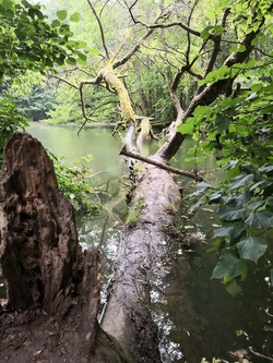 Leben im Wasser und Angeln