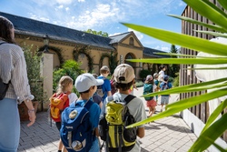 Affen im Zoo: Zoo-Erlebnisf&uuml;hrung "PLUS"