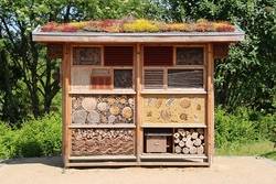 "Bau eines Insektenhotel"