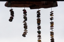 Der Wind macht die Musik