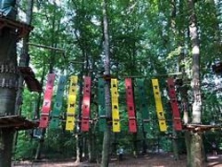 Action in der Baumkrone: Fun Forest Hochseilgarten