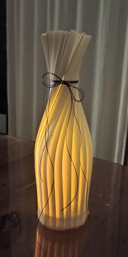 Basteln mit Tanja & Stefanie: Lampen aus Papier