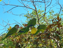 Familienfahrt zum Vogelpark Walsrode