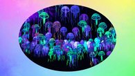 Neongolf