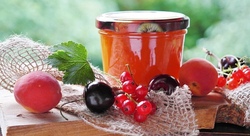 Wir kochen Marmelade