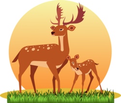 Erkunde die Natur mit den J&auml;gern