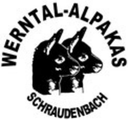 Erlebnis mit den Werntal-Alpakas