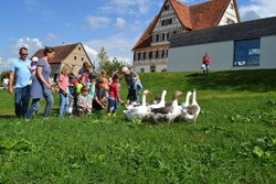 Ausflug zum Freilichtmuseum Beuren - „Alte Kinderspiele – Zeitreise in Küche, Stall und Scheune“