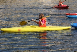Paddeln auf dem Neckar (I)
