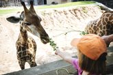 Besuch des Karlsruhher Zoo