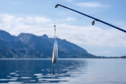 Fische fangen und verarbeiten
