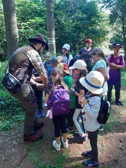 Wir gehen in den Wald