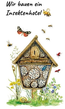 Wir bauen ein Insektenhotel